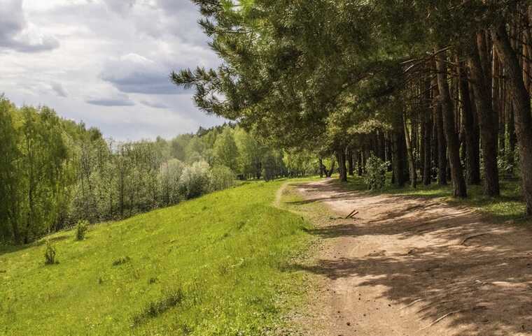 Саратовские власти убирают конкурентов рядом с будущим парком-отелем